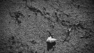 Crno bijela bajka na Kraljičinoj plaži, foto: Iva Perinčić