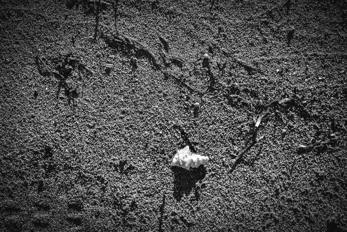 Crno bijela bajka na Kraljičinoj plaži, foto: Iva Perinčić