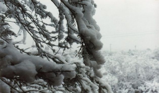 Snijeg (Foto: mavarin.com)