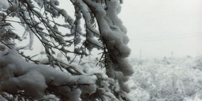 Snijeg (Foto: mavarin.com)