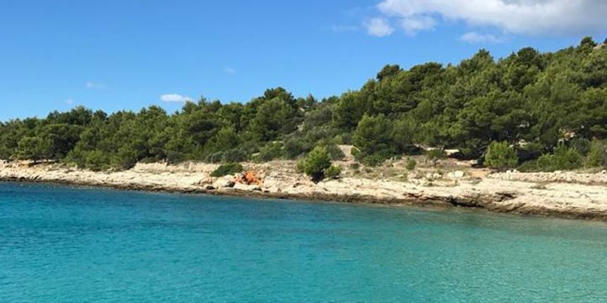 Čišćenjem murterskog podmorja Lionsi započeli ekološku kampanju Čišćenjem murterskog podmorja Lionsi započeli ekološku kampanju