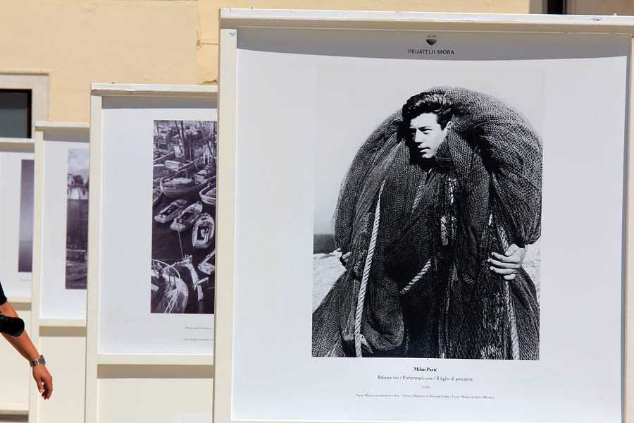 Izložba fotografija “Prijatelji mora” Izložba fotografija “Prijatelji mora”