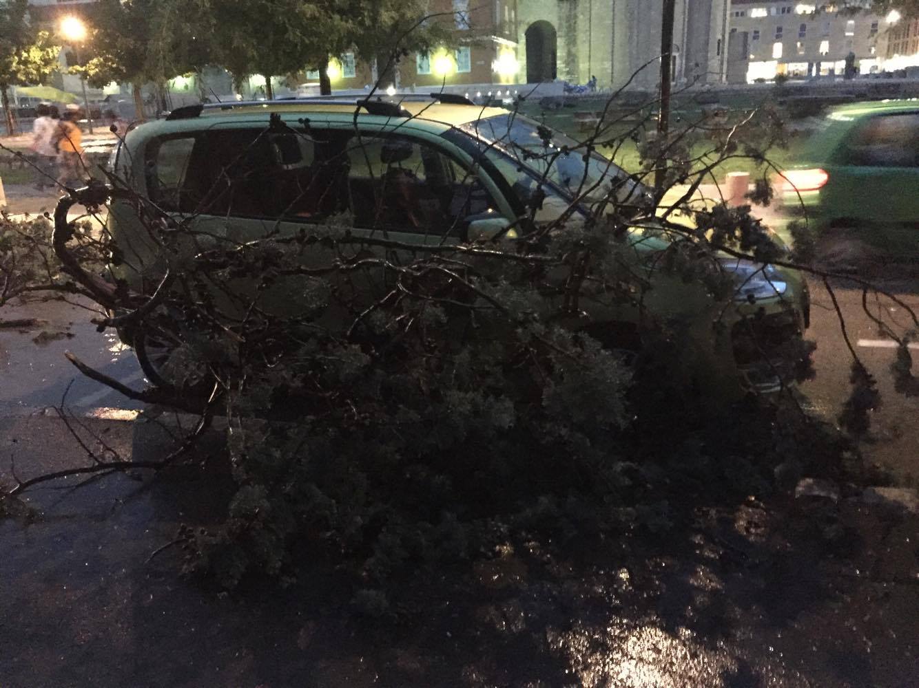 Posljedice grmljavinske nevere koja je poharala Zadar