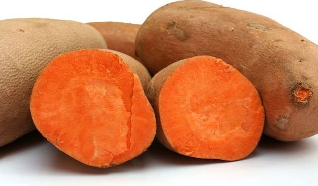 Batat, foto: www.fightsite.hr