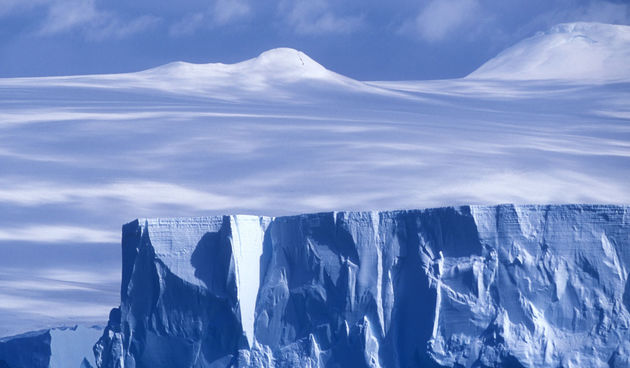 Image 1200921 (auto)