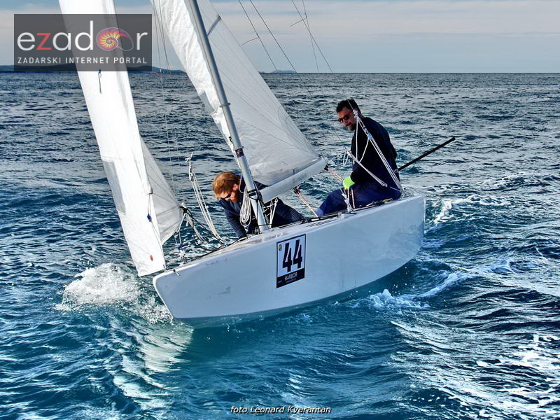 Zadarska koka 2017. Zadarska koka 2017.