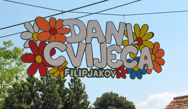 Sv. Filip i Jakov, Dani Cvijeća 2008. Autokamp Đardin