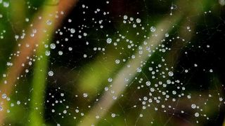 NP Plitvička jezera, listopad 2021.