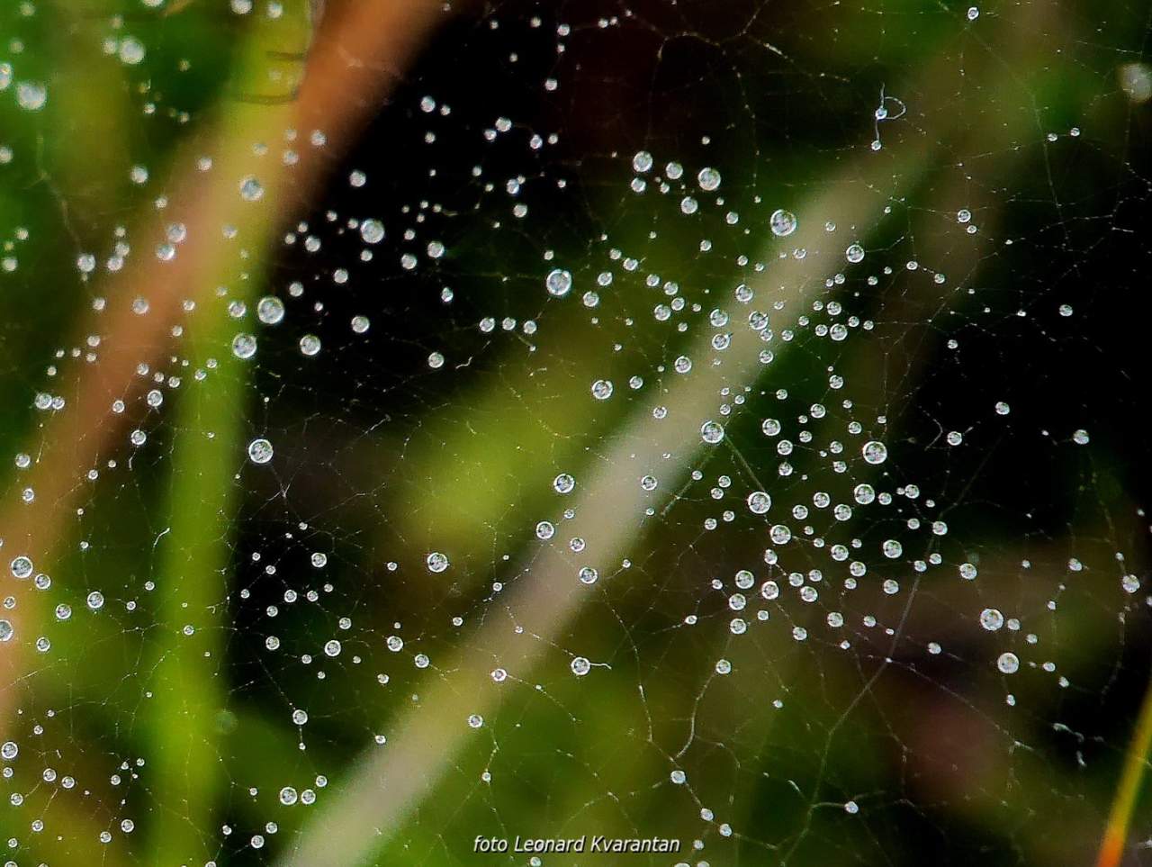 NP Plitvička jezera, listopad 2021.