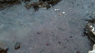 Pijavica s gradom poharala Dolaske Drage, Foto: Maria Dell’Orco Pijavica s gradom poharala Dolaske Drage, Foto: Maria Dell’Orco