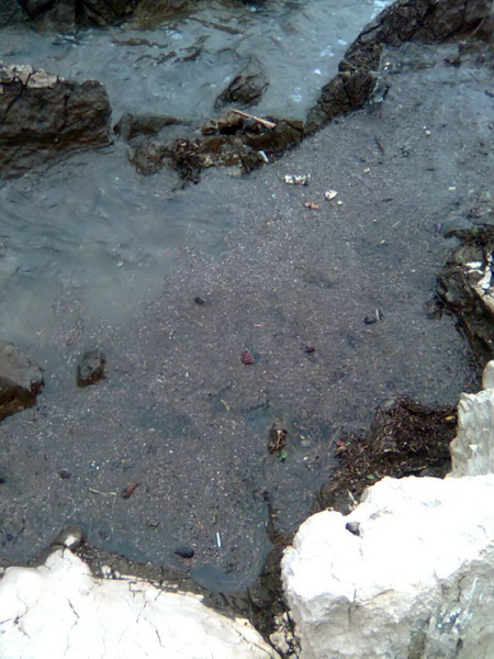 Pijavica s gradom poharala Dolaske Drage, Foto: Maria Dell’Orco Pijavica s gradom poharala Dolaske Drage, Foto: Maria Dell’Orco