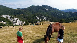 Nedjelja na Zavizanu