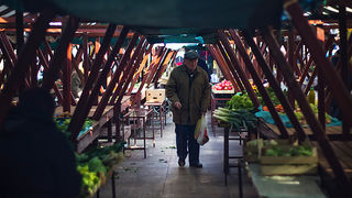 Đir po pijaci, 30. siječnja 2012. (foto:Saša Čuka)