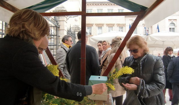 Dan mimoze, Branko Dukić i Ljiljana Balorda