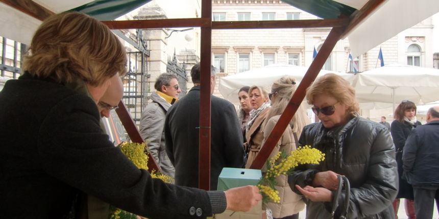 Dan mimoze, Branko Dukić i Ljiljana Balorda