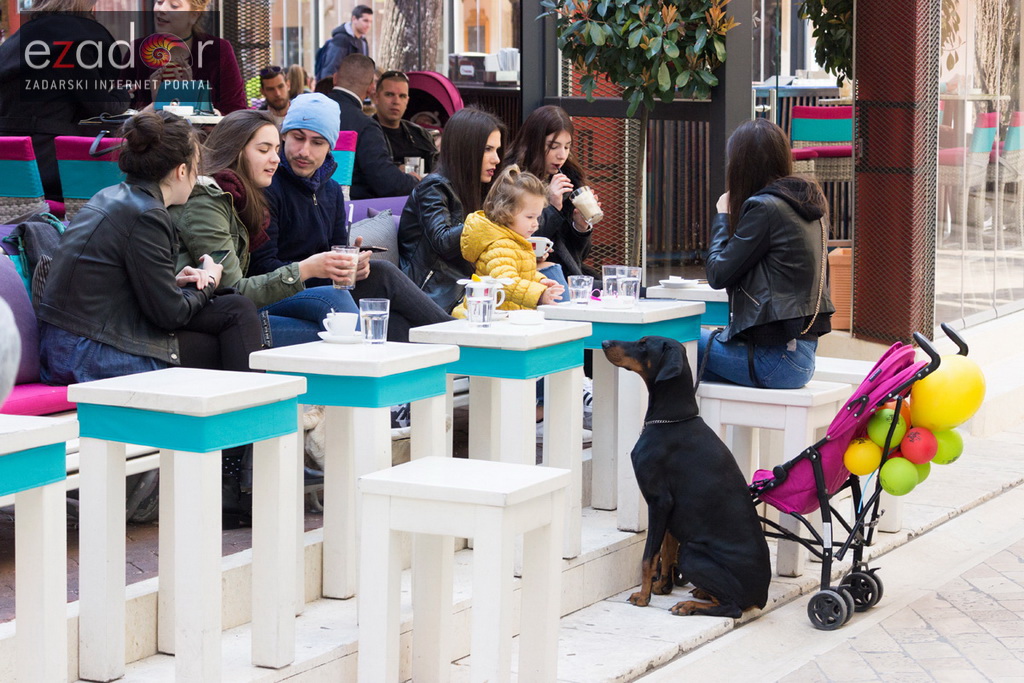 Đir po gradu 15. ožujka 2017.