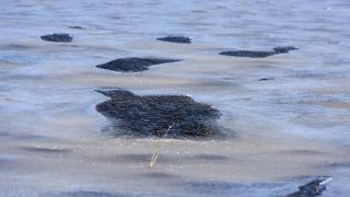 Zaledilo more kod Karina