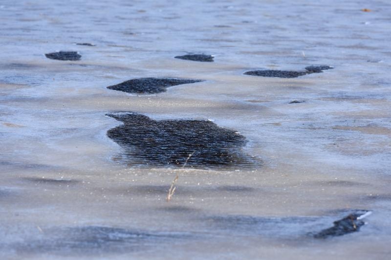 Zaledilo more kod Karina