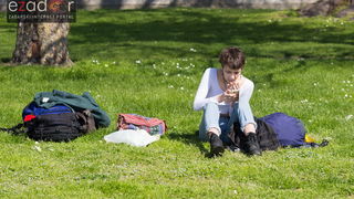 Đir po gradu 15. ožujka 2017.