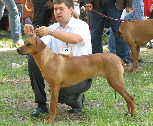 Image 1171073 (auto)