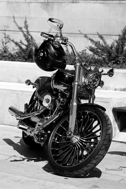 Nekoliko stotina vlasnika kultnih Harley Davidsona danas je posjetilo Zadar, Foto: Nevera ZD