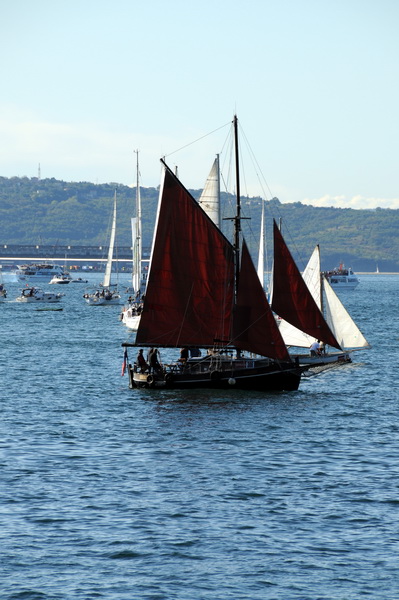 Trst: Barcolana 2009.