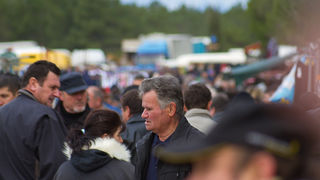 Tradicionalni Benkovački sajam, foto: Darko Belančić