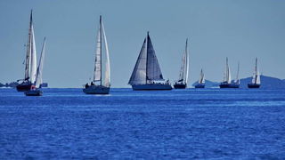Zadarska Koka 2016. gledana s mora. Foto: Leonard Kvarantan Zadarska Koka 2016. gledana s mora. Foto: Leonard Kvarantan