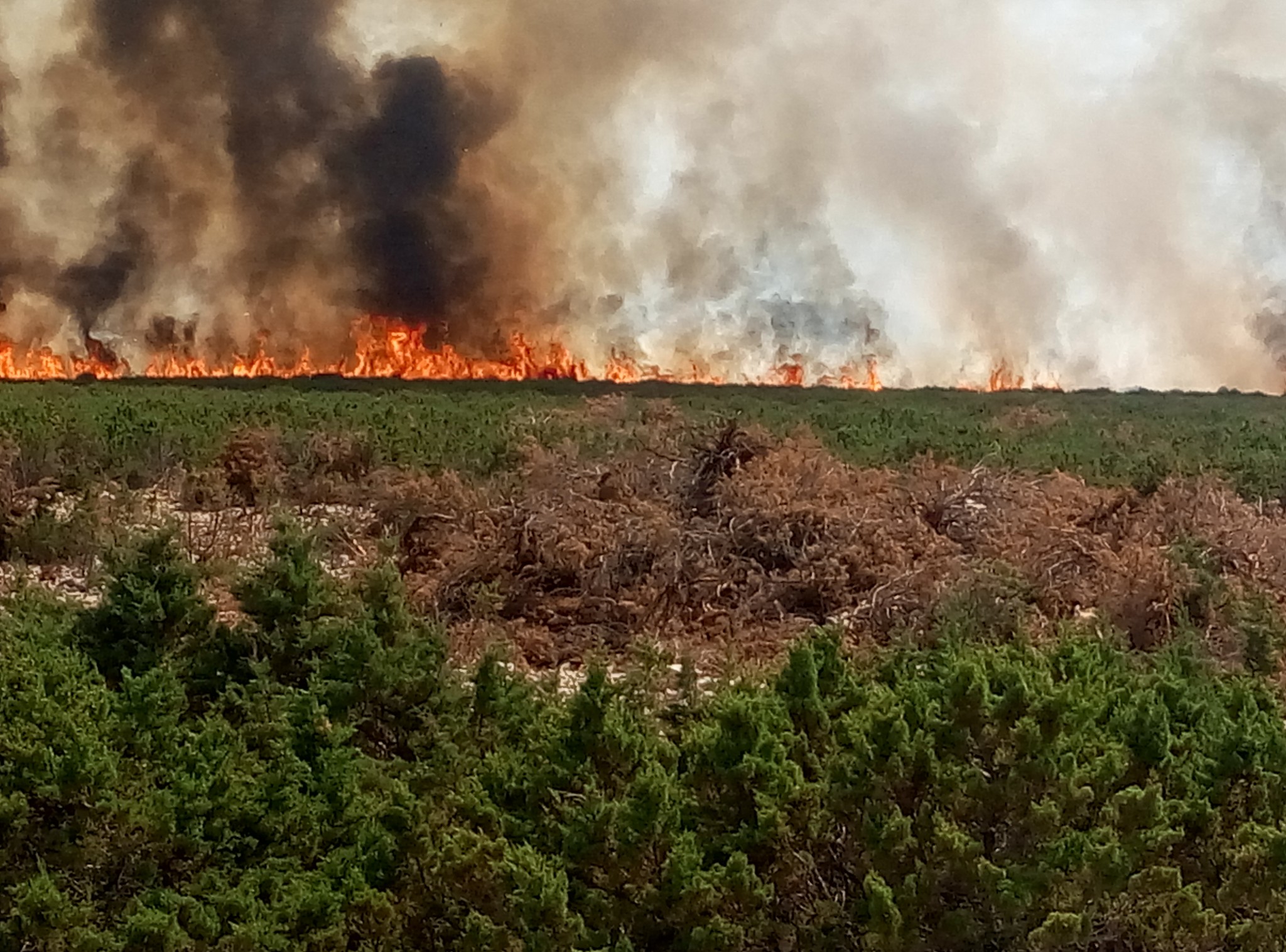 Lokaliziran požar kod Košljuna na otoku Pagu Lokaliziran požar kod Košljuna na otoku Pagu