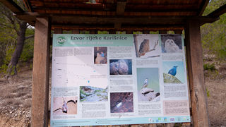 Ugodno prijepodne uz tok rijeke Karešnice i stare zapuštene mlinove, foto: Darko Belančić