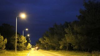 Rekonstrukcija ceste D-306 na Viru: Zasvijetlilo od Virskog mosta do centra!