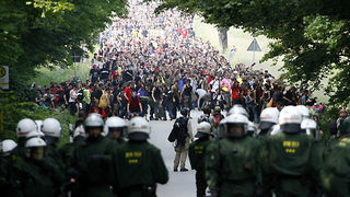 Image 1204267 (auto)