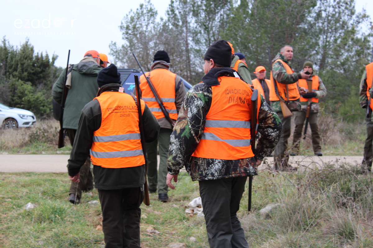 Lovci “Diane” kod Crnog odstrijelili  trinaest lisica i osam čagljeva