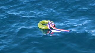 Zadarski HDZ obilježio Dan sjećanja na žrtve svih totalitarnih i autoritarnih režima