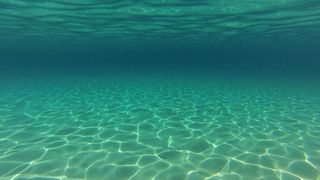 25.07.2013., Dugi otok, Sakarun – Uzduz i poprijeko Dugog otoka u zadarskom arhipelagu u ljetnim danima prepuno je turista, a najomiljenija plaza zasigurno je Sakarun, koja sa nalazi u uvali pokraj mjesta Veli Rat. Pjeskovita plaza sa tirkizno cistim mo