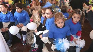 Virski Karnevalić 2017.