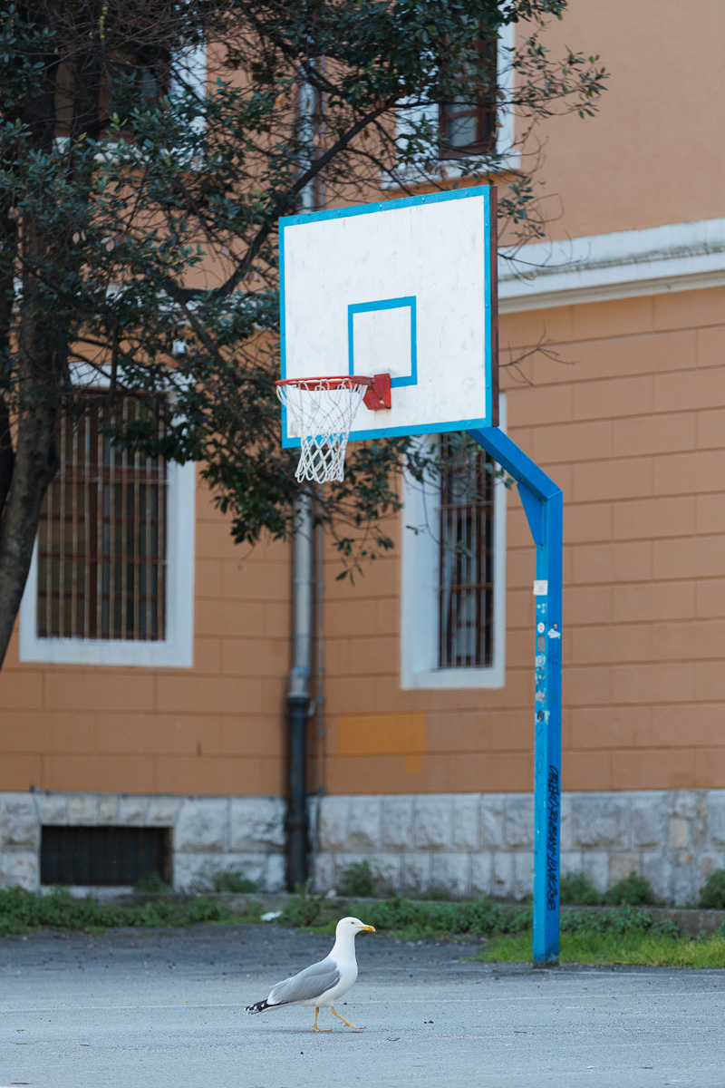 Đir po gradu, 18. ožujka 2025.