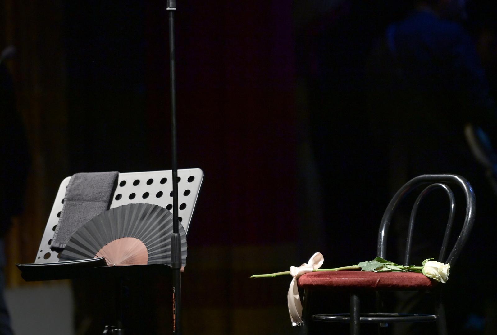 HNK Zagreb: Komemoracija za Massima Savića