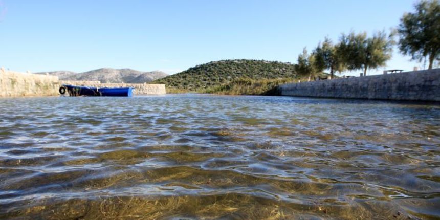 Park prirode Vransko jezero obojale su jesenske boje. Photo: Duško Jaramaz/PIXSELL Park prirode Vransko jezero obojale su jesenske boje. Photo: Duško Jaramaz/PIXSELL
