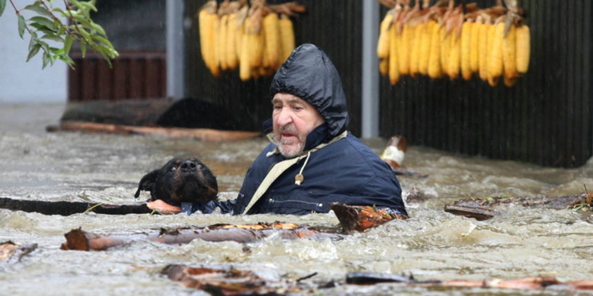 Slovenija, Duplek,051112.
U Sloveniji je zbog velikog vodenog vala proglaseno izvanredno stanje na vise podrucja uz Savu,Dravu i Krku.
Na fotografiji: dramaticno spasavanje psa u mjestu Duplek.
Foto:Tadej Regent / Delo / CROPIX