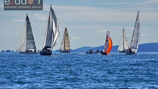 Zadarska koka 2017. Zadarska koka 2017.