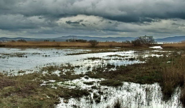 Đir uz Vransko jezero 17. siječnja 2014.  Foto: Leonard Kvarantan