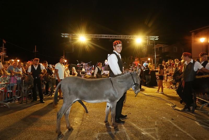 U Tribunju su održane 49. po redu magareće trke na kojima je sudjelovalo 12 jahača, a pobjedu je odnio Roko Popov na magarcu Renault 4. Photo: Duško Jaramaz/PIXSELL U Tribunju su održane 49. po redu magareće trke na kojima je sudjelovalo 12 jahača, a pobjedu je odnio Roko Popov na magarcu Renault 4. Photo: Duško Jaramaz/PIXSELL