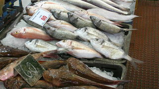 Image 1205463 (auto)