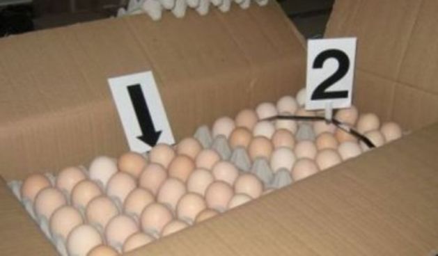 Slovenac švercao kokošja jaja (Foto: PU varaždinska)