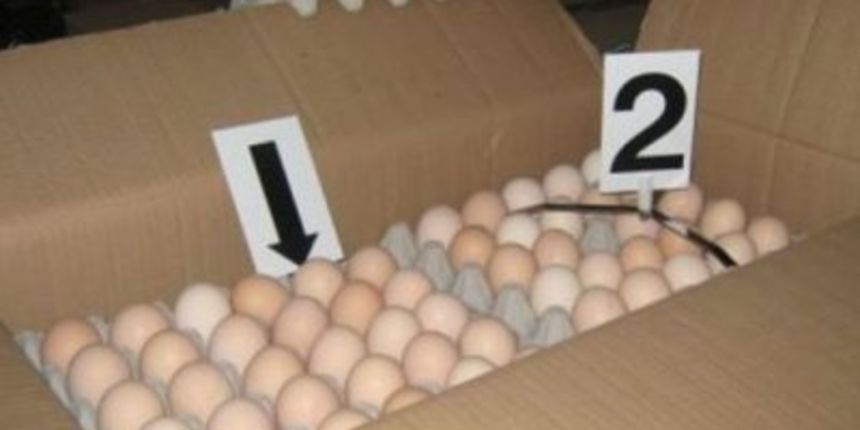 Slovenac švercao kokošja jaja (Foto: PU varaždinska) Slovenac švercao kokošja jaja (Foto: PU varaždinska)
