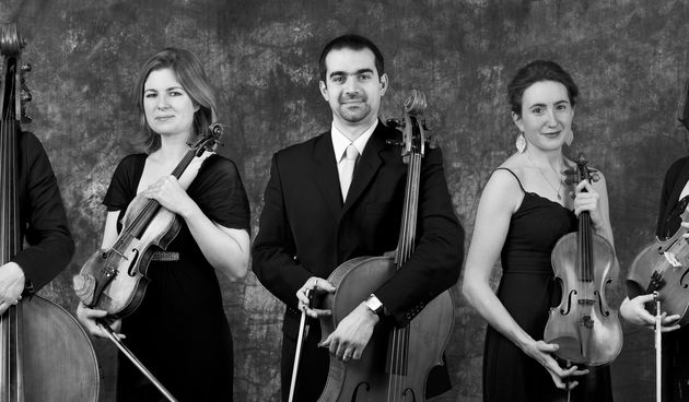 Austrijski gudački kvintet Wiener Kammersymfonie nastupit će u Marini Dalmacija