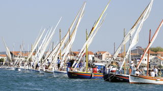 Murter, 021011.
U Murteru odrzana tradicionalna regata brodica ” Latinsko idro” gdje je sudjelovalo sedamdesetak posada.
Na slici: regata.
Foto: Jadran Babic / CROPIX Murter, 021011.
U Murteru odrzana tradicionalna regata brodica ” Latinsko idro” gdje je sudjelovalo sedamdesetak posada.
Na slici: regata.
Foto: Jadran Babic / CROPIX