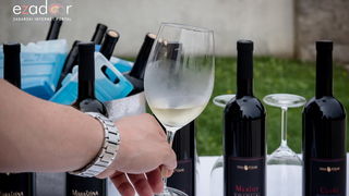 11. Festival smokava – Gastro smokva @ Muzej antičkog stakla 11. Festival smokava – Gastro smokva @ Muzej antičkog stakla