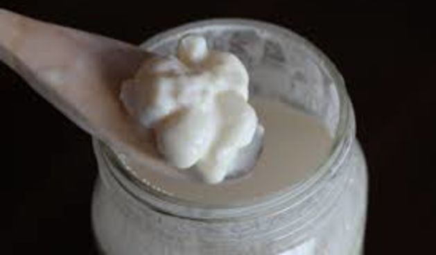 Kefir, foto:scdkat.com